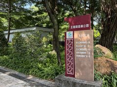 -王借岗森林公园