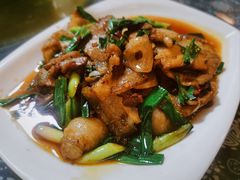 -青城甲(青城山店)