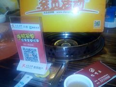 -鸭嘴鱼