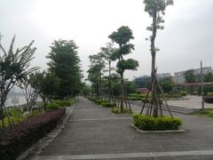 -光明港公园