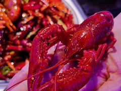 -钳小柒·小龙虾蓝龙王烧烤夜宵(长寿路店)