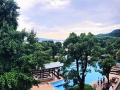 -逸廊大堂吧-下午茶·简餐-千岛湖自由洲际殿