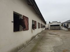 -松声马术俱乐部