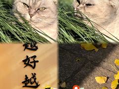 -无锡惠山寺
