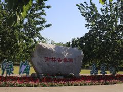 -御林古桑园