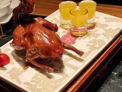 -大鸽饭(北京路店)