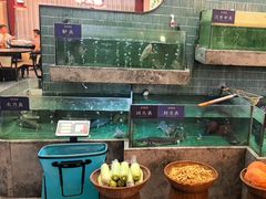 -鱼你相聚·河鲜馆(袁家岭店)