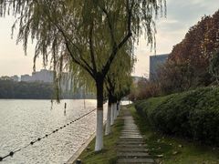 -天鹅湖体育公园