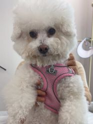 -如一·美甲美睫