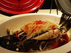 -厦门艾美酒店·新食谱西餐厅