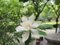 -成都杜甫草堂博物馆