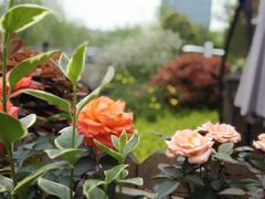 -杭州城北体育公园