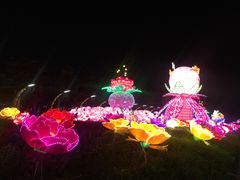 -映月湖公园