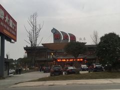 -胖大姐黄辣丁鱼庄(新津店)