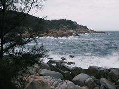 -广东惠东海龟国家级自然保护区