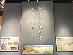 -柳州白莲洞洞穴科学博物馆