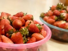 -胡家庙水果批发市场