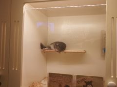 -龙猫仔乐园(惠福东路店)