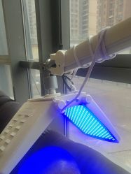 -碧莲盛·不剃发植发