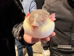 -永安鱼庄·镇江菜(东吴路店)