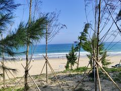 -西涌国际滨海旅游区