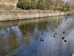 -元大都城垣遗址公园