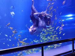 -太平洋海底世界