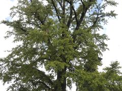 -金堂县云顶石城风景区