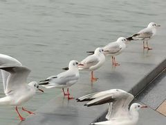 -蠡湖大桥公园
