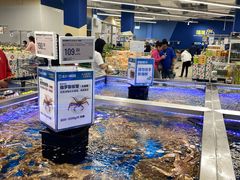 -盒马X会员店(上海森兰商都店)