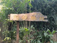 -西双版纳基诺山寨