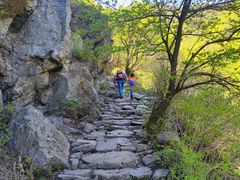 -阳台山自然风景区