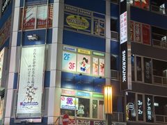 -秋叶原电器街
