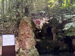 -杭州黄龙洞