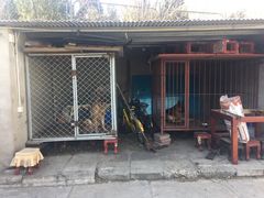 门面-凤凰岭蒙古包风味餐厅