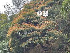 -梧桐山风景名胜区