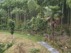 -将军关探险漂流