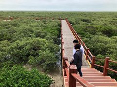 -北海金海湾红树林生态旅游区
