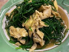 -沙洲胡杨焖饼