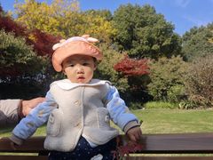 -青枫公园