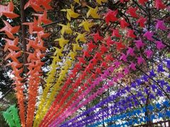 -光明农场大观园