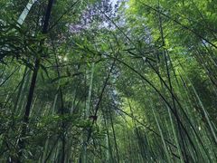 -会稽山峡洞漂流-上青古道