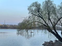 -长春市南湖公园