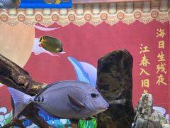 -烟台海昌鲸鲨海洋公园