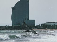 -小巴塞罗那海滩