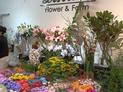 -双季花艺园艺市场(浦东店)