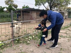 -上海长兴岛郊野公园