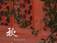 -故宫博物院(故宫)
