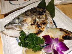 烤三文鱼头-清水日本料理铁板烧(学府路店)