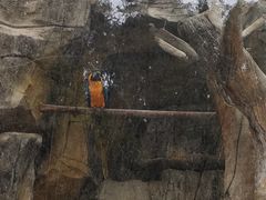 -黔灵山公园